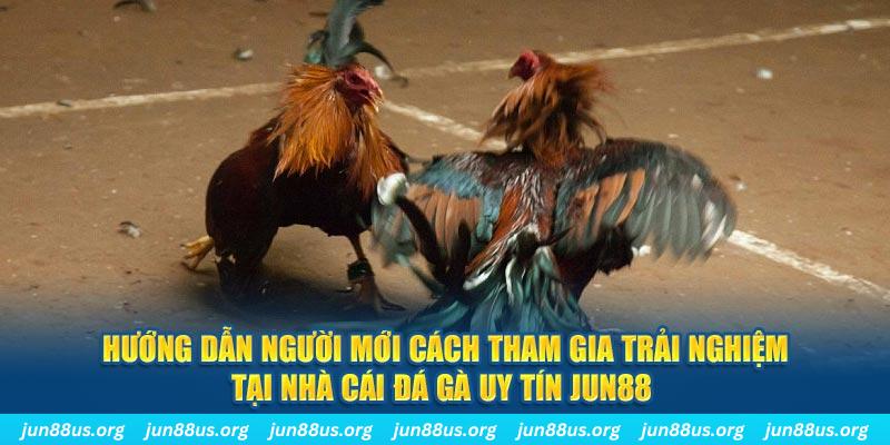 sv 88 CQ9 Điện Tử