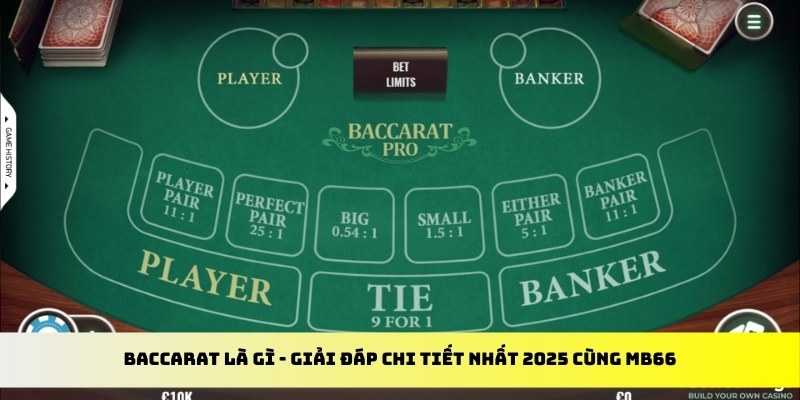 sv 88 gà chọi cu cần