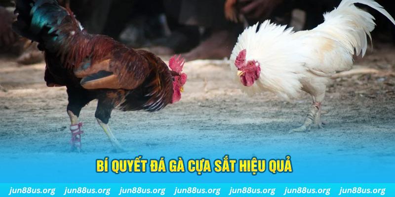 xin 1 slot là gì