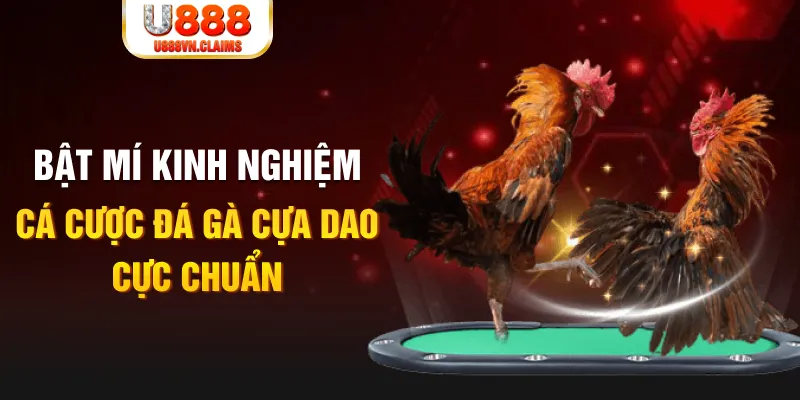 sv 88 tỷ lệ cá cược châu á là gì