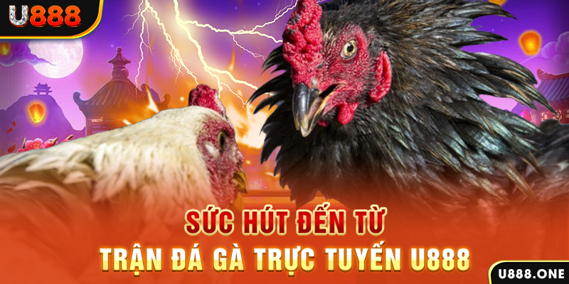 sv 88 nổ hũ b29 là gì
