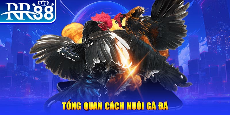 sv 88 VA Điện Tử