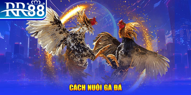 sv 88 xổ số an giang