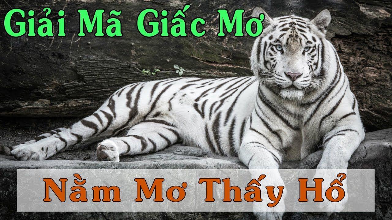 sv 88 WM Trực Tuyến