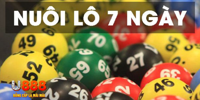 slot là j