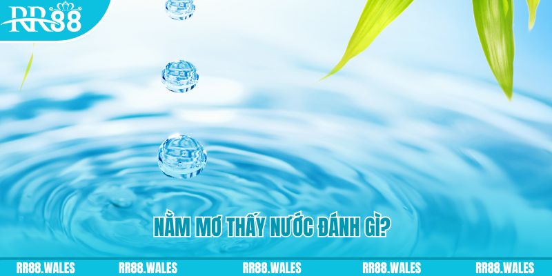 sv 88 TP Bắn cá