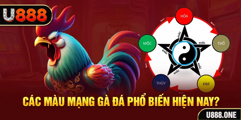 sv 88 trực tiếp đá gà 88