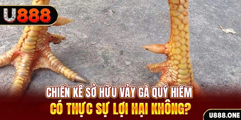 sv 88 nohu .mx nổ hủ là gì