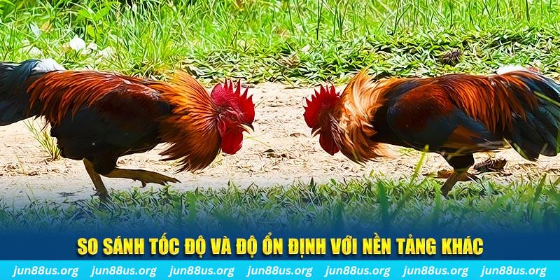 sv 88 đá gà hôm nay