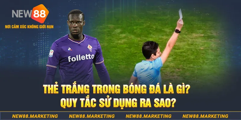 sv 88 gà chọi mộc hóa