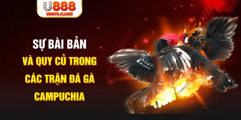 sv 88 YGR Điện Tử