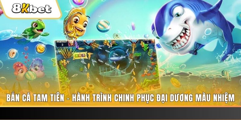 sv 88 xổ số bình định