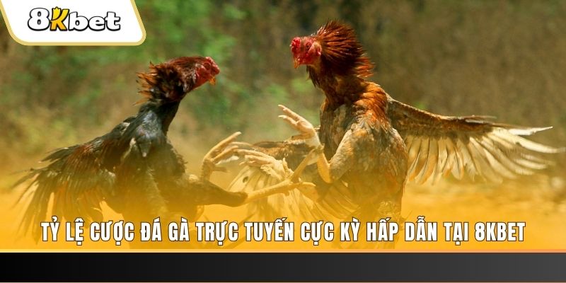 sv 88 xổ số trực tiếp miền bắc