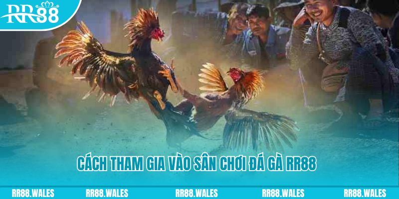 sv 88 chơi nổ hũ kiêng kỵ gì