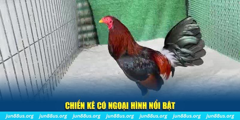 sv 88 chạy quảng cáo cho game bài bị phạt như thế nào