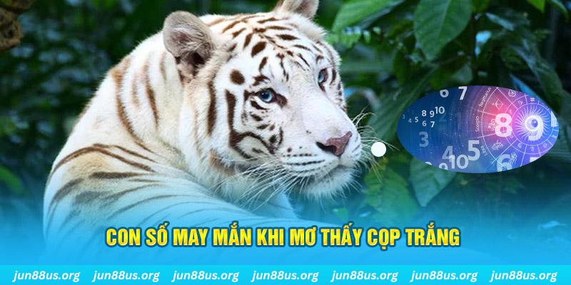 sv 88 đá gà trực tiếp 88